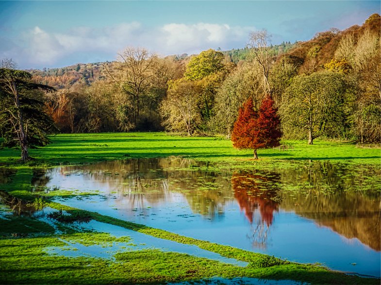 Flooded picturesque field