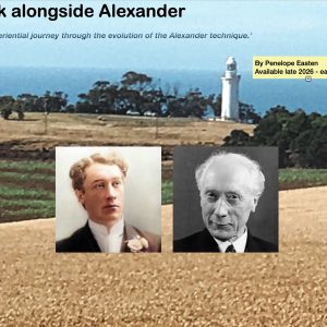 Walk Alongside Alexander